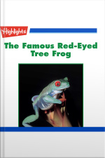 The Famous Red-Eyed Tree Frog