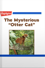 The Mysterious Otter Cat