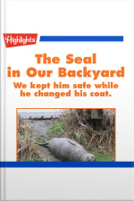The Seal in Our Backyard