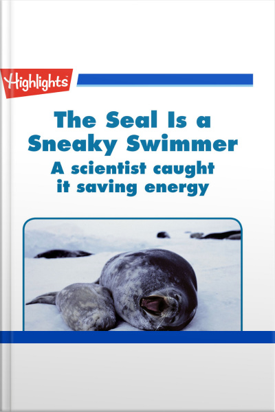 The Seal is a Sneaky Swimmer