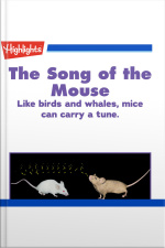 The Song of the Mouse