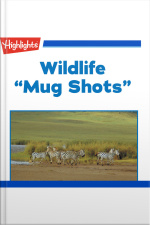 Wildlife: Mug Shots