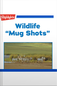 Wildlife: Mug Shots
