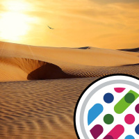 Evolving flu, and the desert decomposition conundrum