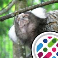 Babies cry in utero, and pushing preprints