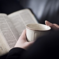 The Best Bible You Will Ever Own