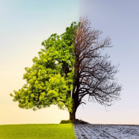 Your Retirement And Lack Of Man Made Climate Change
