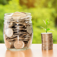 What Kind of an Investor are You?