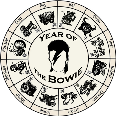 Year Of The Bowie (the Life Of David Bowie)
