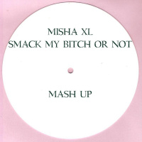 Misha XL - Smack My Bitch Up Ready Or Not (MashUp)