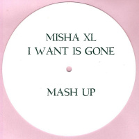 Misha XL - I Want Is Gone (MashUp)