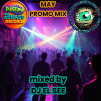 May 2025 DS2B/SWEEP DA SCENE PROMO MIX mixed by DJ EL SEE