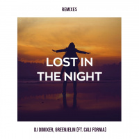 DJ DimixeR  Greenjelin feat. Cali Fornia - Lost In The Night (Rich-Max Remix)