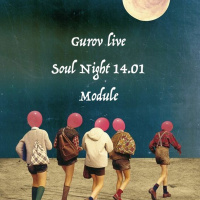 Gurov @ Soul Night 14.01.17 Module