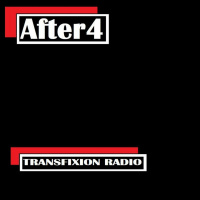 Transfixion 082
