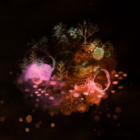 Mestizaje 30-2022 dcv