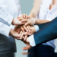 5ª Lei Das 16 Leis Do Sucesso - Liderança