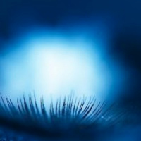 Blue Tones - Paploviante