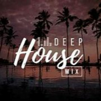 DJ Bassonomics - Deep House Mix