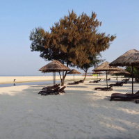 Parama Pita Ki Hum Stuti Gaye | Hindi Christian Song | Mathew Yohannan