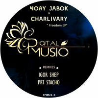 Noay Jabok, Charlivary - Freedom - PRT Stacho Remix - preview