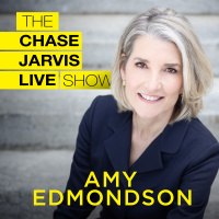 Why We Need to Talk About Failure with Amy Edmondson