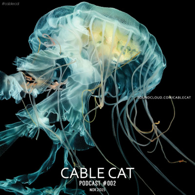 Cable Cat Podcast