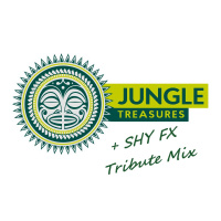 Jungle Treasure (+ Shy FX Tribute Mix) #270319