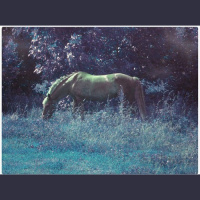 Sparkless - A year has passed 2013