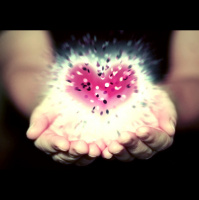 Sparkless  Timo - With the warmth of heart