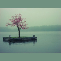 Sparkless - Soul Disco 9 (Beauty edition)