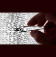 Sparkless - Chart mix (November 13)