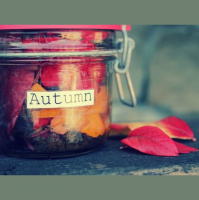 The spirit of autumn 4 - Sparkless in da mix