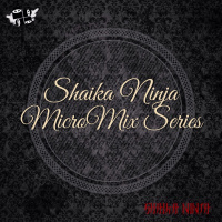 003. Shaika Ninja — Dirty Cry (MicroMix Series #3)