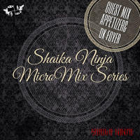 012. SKNJ presents AppetizerDK Foyer — Bass House Special (MicroMix Series #12)