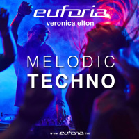 312 - Melodic Techno