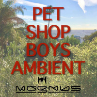 Pet Shop Boys / Ambient Tribute Mix