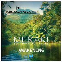 MERAKI {AWAKENING}