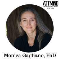 Plant Intelligence | Monica Gagliano, PhD ~ ATTMind 153