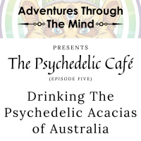 Drinking The Psychedelic Acacia Trees Of Australia | Psychedelic Café 5