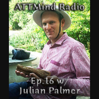 On The Meaning And Utilization Of Psychedelics w/ Julian Palmer ~ Ep 16