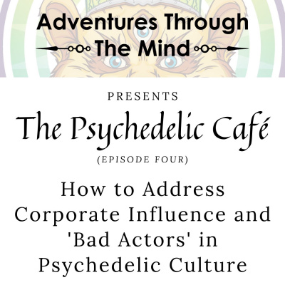 Adventures Through The Mind