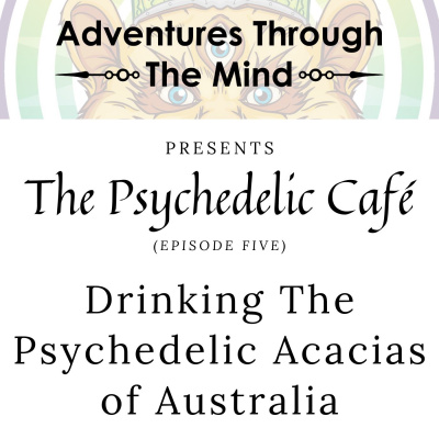 Adventures Through The Mind