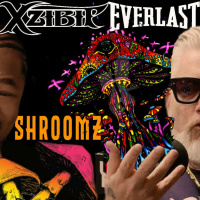 Xzibit  Everlast - Shroomz (Conspire Remix)