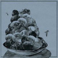 Painted Shut by Hop Along | On The Record
