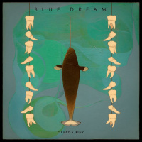 Blue Dream by Orenda Fink | On The Record