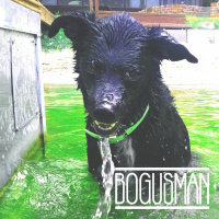 Bogusmans Self-Titled Album | On The Record
