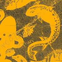 Top Shelf  Lost Tricks by No Blood Orphan | On The Record