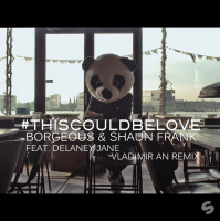 Borgeuos  Shaun Frank feat. Delaney Jane - This Could Be Love (Vladimir An Remix)