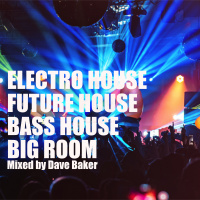 Big Room Bass House Electro Mix December 2020